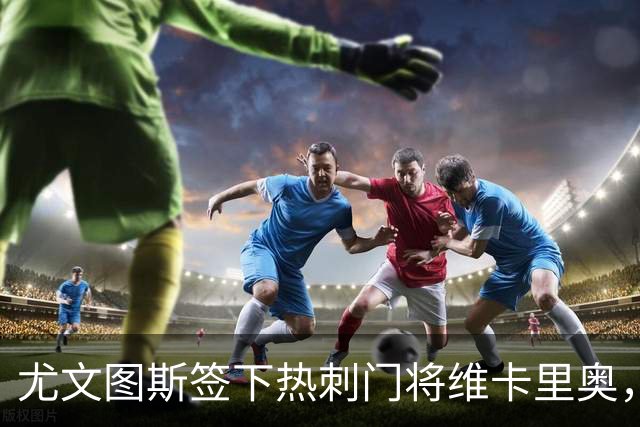 尤文图斯签下热刺门将维卡里奥，租借协议暗含买断选项